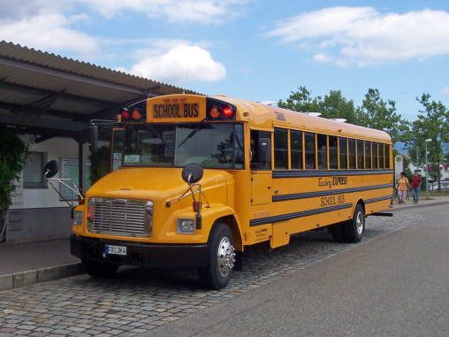 School Bus Blowjobs